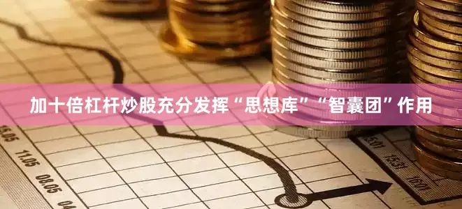 加十倍杠杆炒股充分发挥“思想库”“智囊团”作用