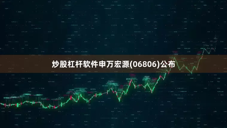 炒股杠杆软件申万宏源(06806)公布