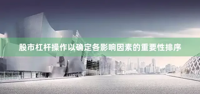 股市杠杆操作以确定各影响因素的重要性排序