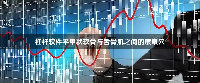 杠杆软件平甲状软骨与舌骨肌之间的廉泉穴
